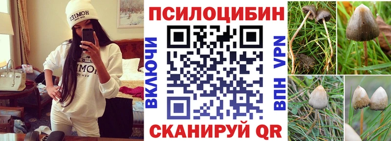 Псилоцибиновые грибы GOLDEN TEACHER  Купить  Ивдель 
